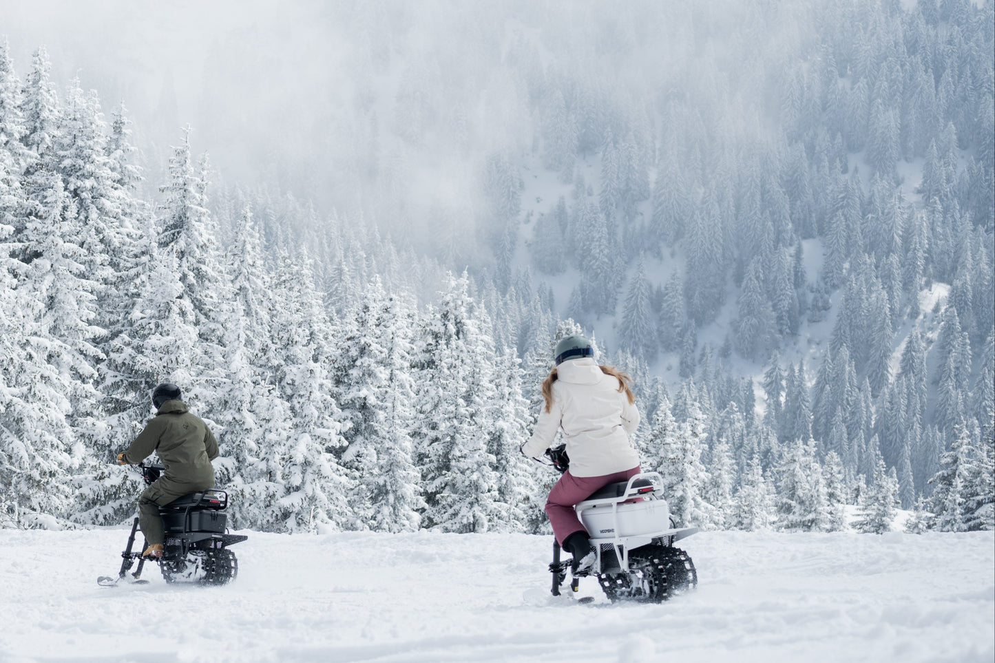 Two people on snowmobiles in a snowy landscape with trees and mountains.