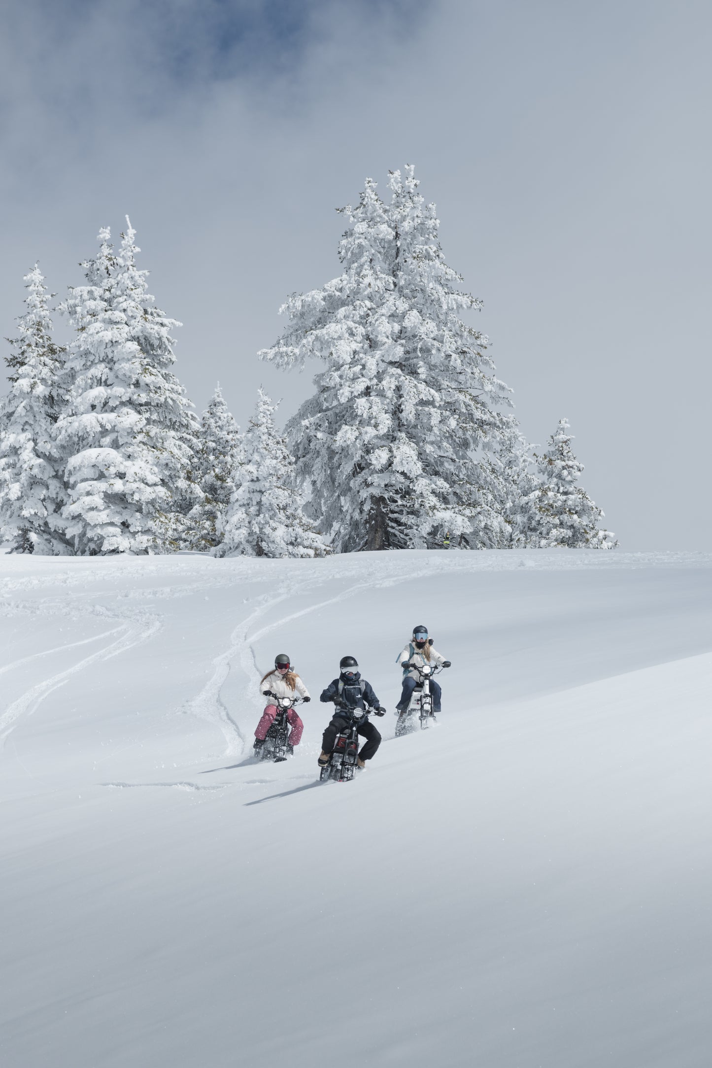 Snowmass & Aspen Snowmobile Rentals | All-Electric MoonBike Experiences