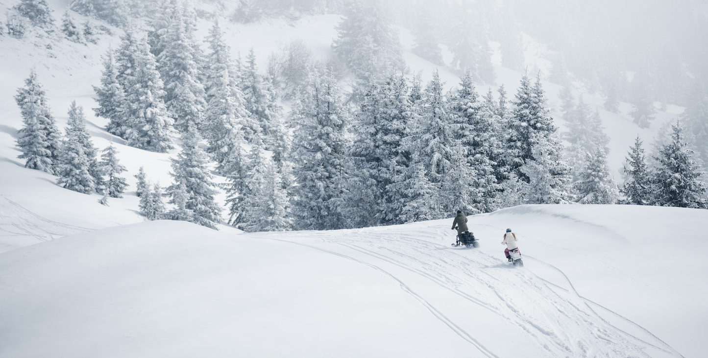 Electric Snowmobile Rental - Aspen Colorado Winter Tours