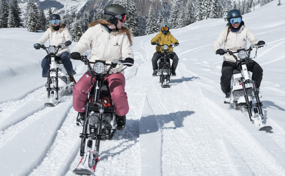 Electric Snowmobile Rental - Aspen Colorado Winter Tours