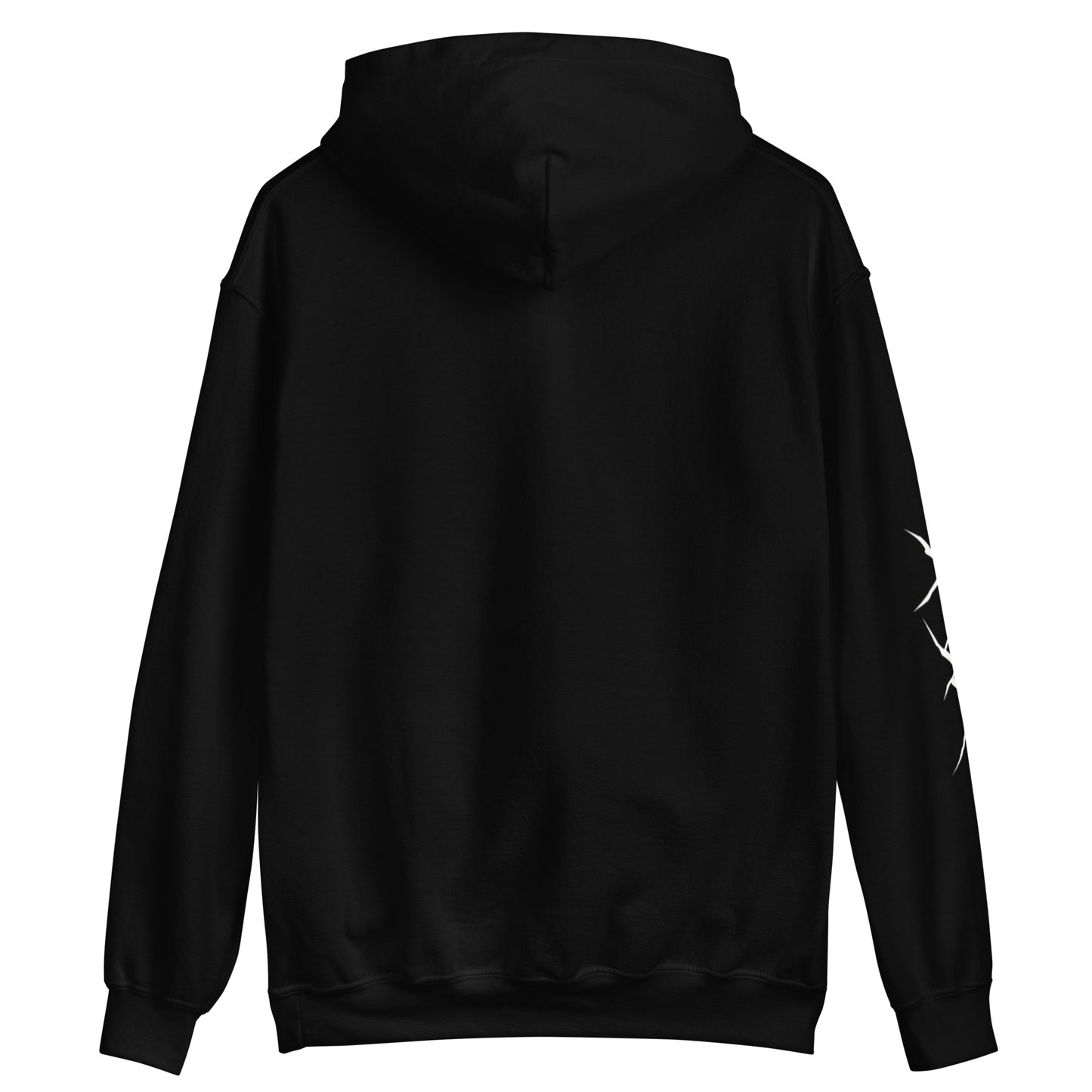 ASEHOLE COLORADO Hoodie